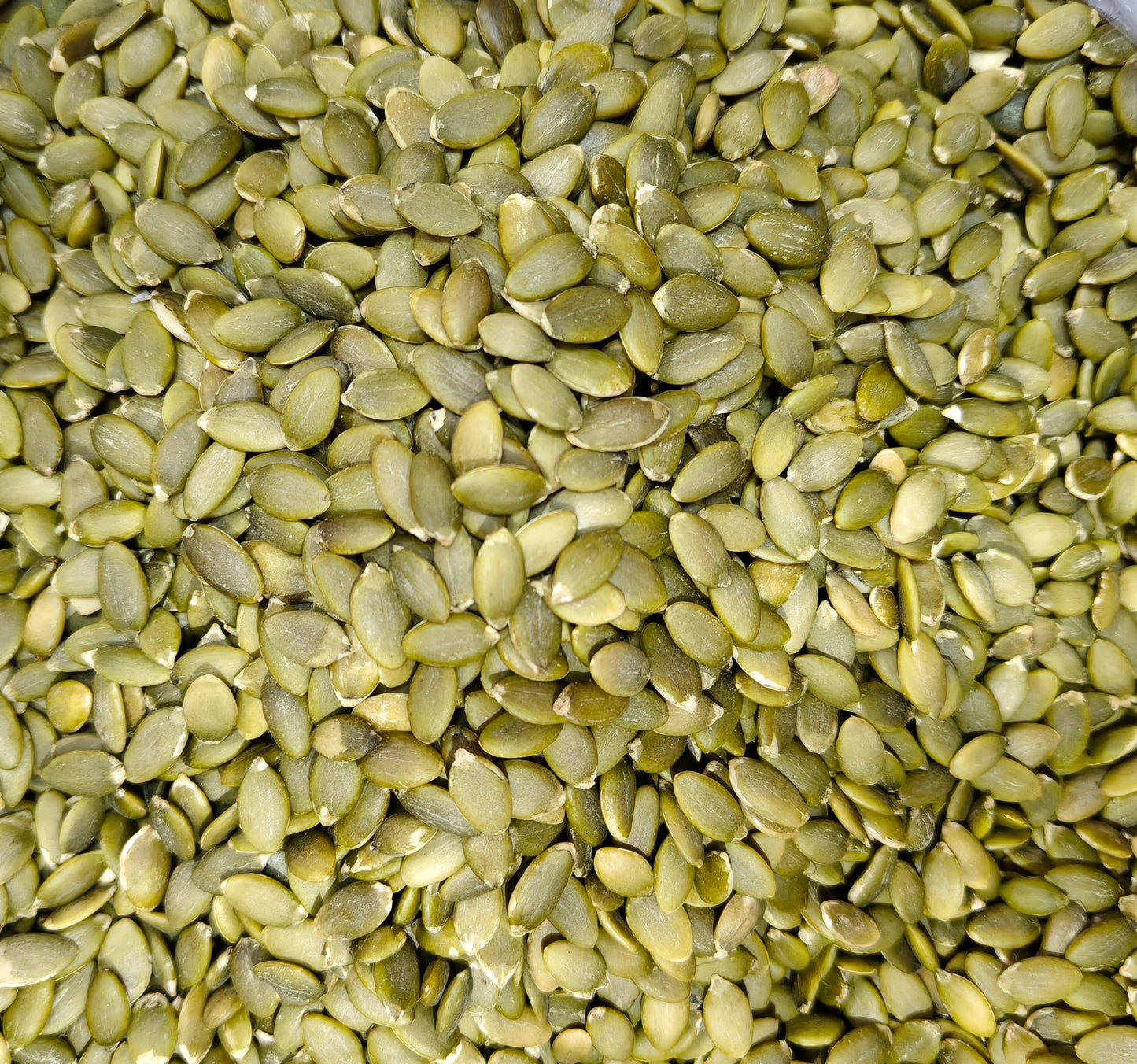 Pumpkin seeds